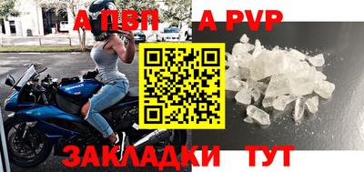 стаф Кунгур