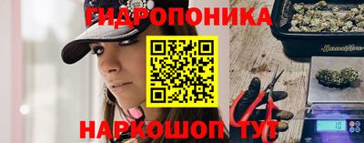 стаф Кунгур